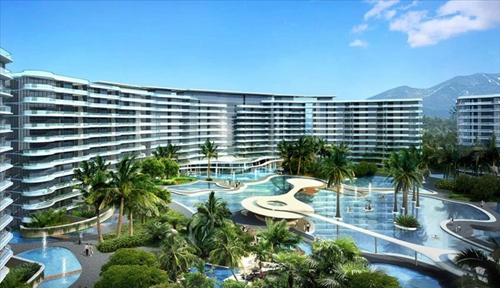 金碧海岸生紙的醉大因素是什么？