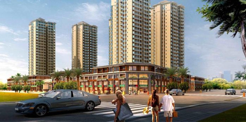 為什么海南候鳥不住全年